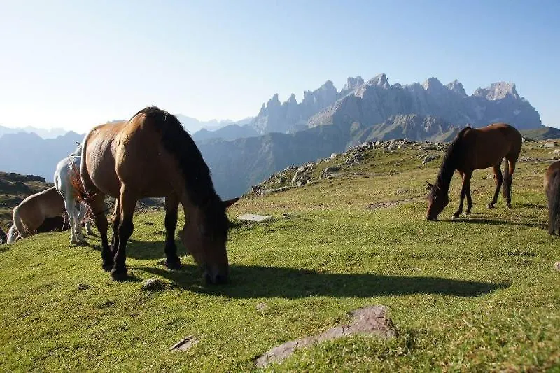 Hotel Stella Alpina Falcade Italien