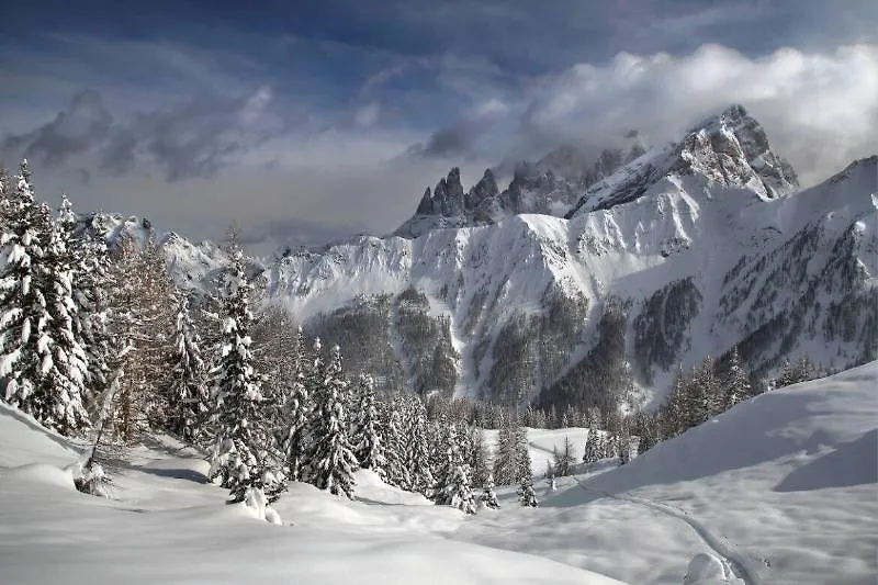 Hotel Stella Alpina Falcade 3*,  Italien