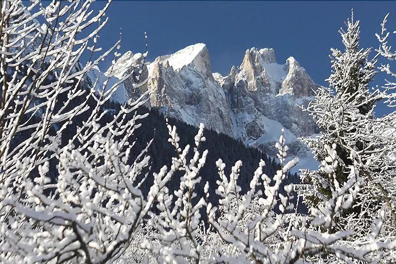 Hotel Stella Alpina Falcade