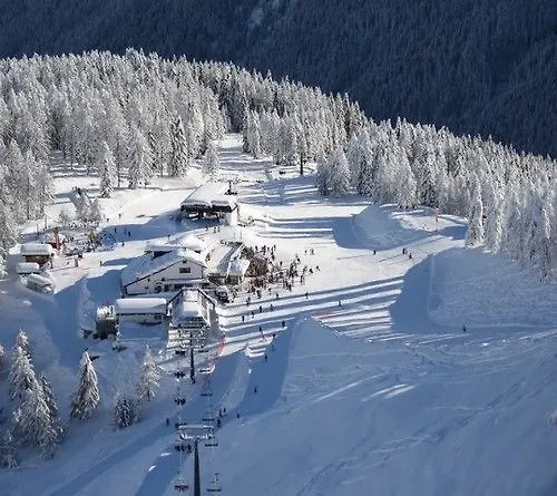 Hotel Stella Alpina Falcade